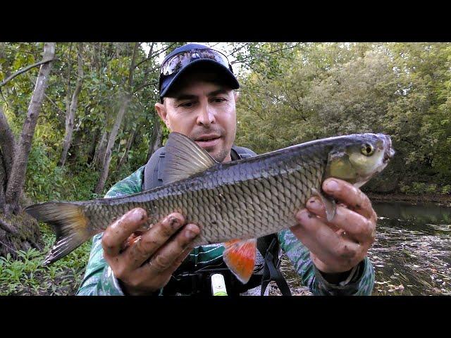 Fish that Not Everyone Can Catch. Spinning Fishing in September.