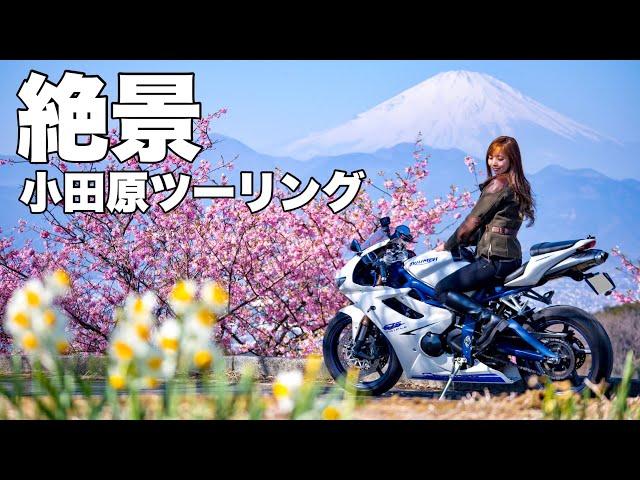 【穴場】本当は教えたくない、神奈川の絶景スポット！小田原ツーリング＊Daytona675【モトブログ】