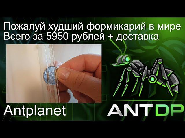 Очень плохой формикарий от antplanet