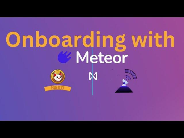 Onboarding w/Meteor Wallet ️️🪐