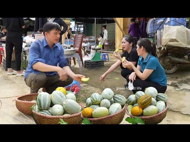 The process of growing rice and melons from start to harvest. Robert | Green forest life