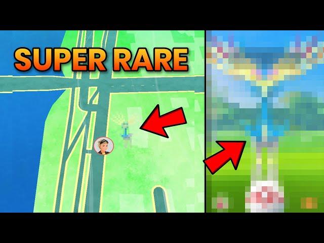 Pokemon Go Best Rare Pokémon Tracker| How to Catch High CP Rare Pokémon's in Pokémon Go