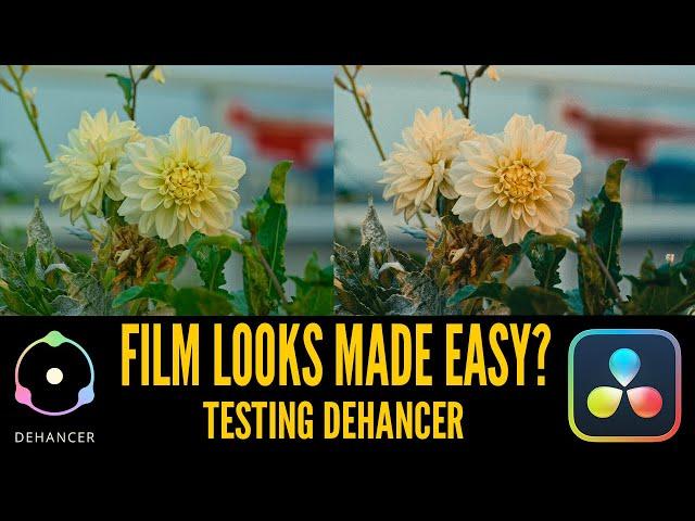 Level Up Your COLOR GRADING With DEHANCER For DAVINCI RESOLVE