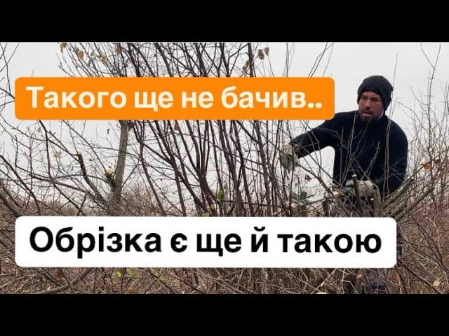 Обрізка є ще й такою