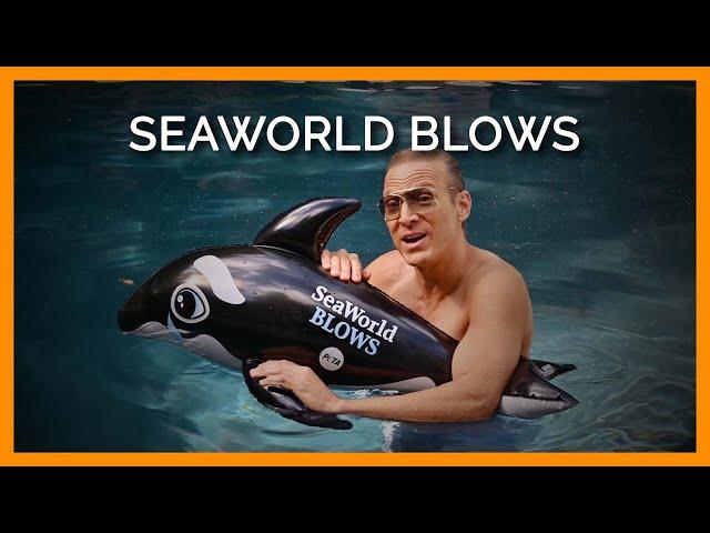 PETA’s Message to This Year’s Top Oscar® Nominees? SeaWorld BLOWS