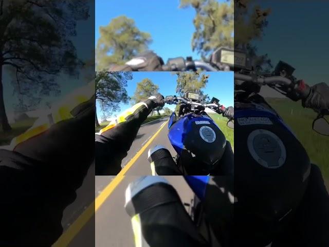 YAMAHA MT03 WHEELIE #mt03 #wheelie