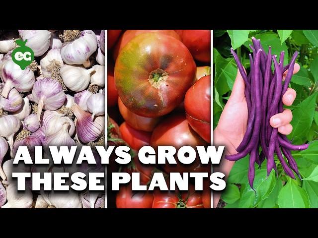 9 Plants You Should ALWAYS Grow