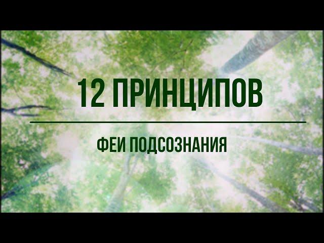 12 принципов феи подсознания