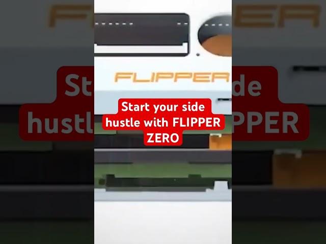 START YOUR SIDE HUSTLE BUSINESS WITH FLIPPER ZERO #flipperzerohacking #sidehustle #hack