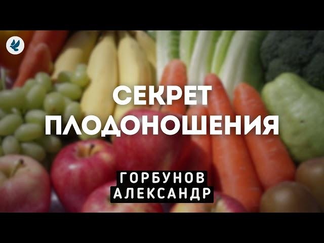 Секрет плодоношения. Горбунов А.И. Проповедь МСЦ ЕХБ