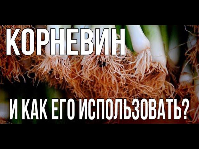 Что такое Корневин, и как его использовать? "ПЛАНЕТА АГРО"