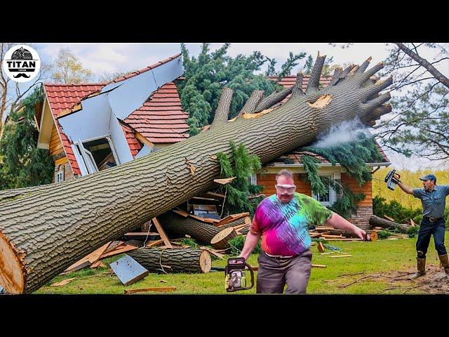 Dangerous Fastest Idiots Cutting Tree Fails Skill With Chainsaw | Tree Falling on Houses #3