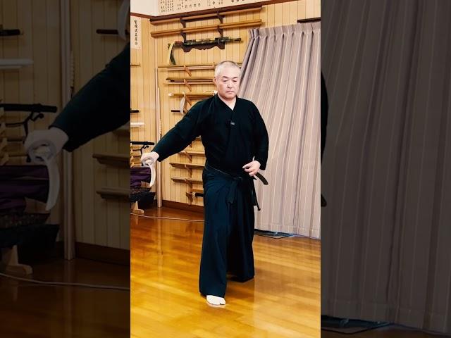 If Kenshin Trained Iaido