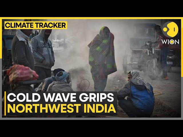 Delhi-NCR To Receive Rainfall Amid Chilling Cold | WION Climate Tracker