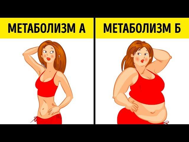 Что Такое Метаболическая Диета и Почему Она Подходит Всем