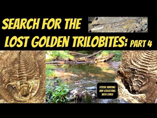 Search for the Lost Golden Trilobites: Part 4 Fossil Hunting & Fossil Collecting w/ Chris trilobites