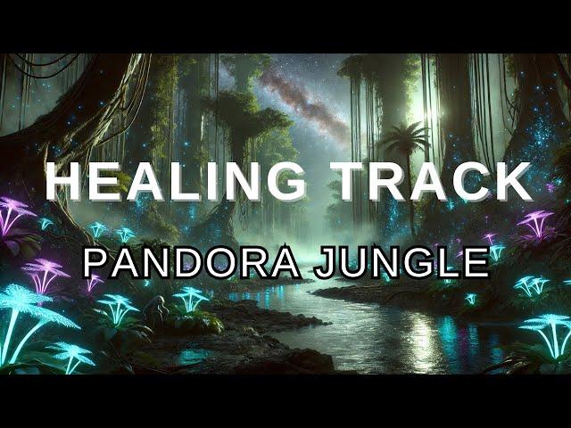 Pandora's Jungle| 2hours | Study | Improved Concentration | motivation | rainy | 빗소리 | 공부 | 집중력강화