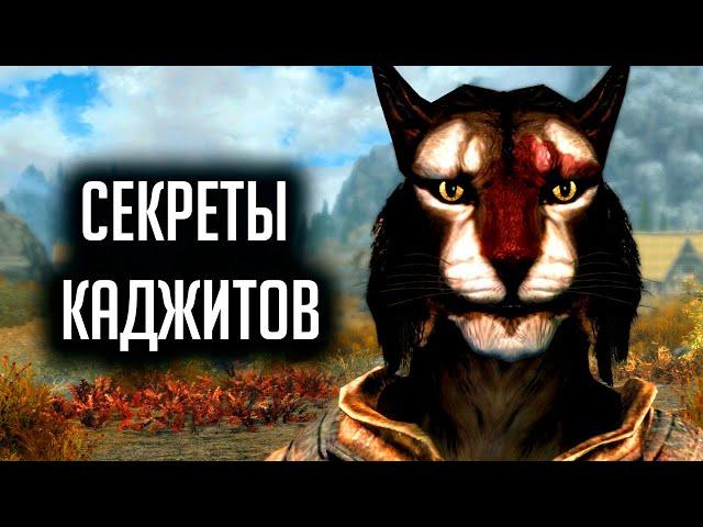 Skyrim Секреты и Интересное о Каджитах! ( Секреты 337 )