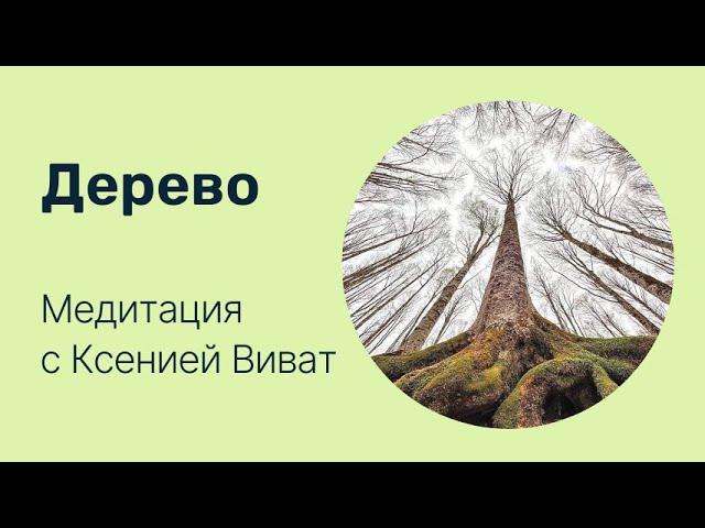 Медитация "Дерево". О цигун ПРОСТО.