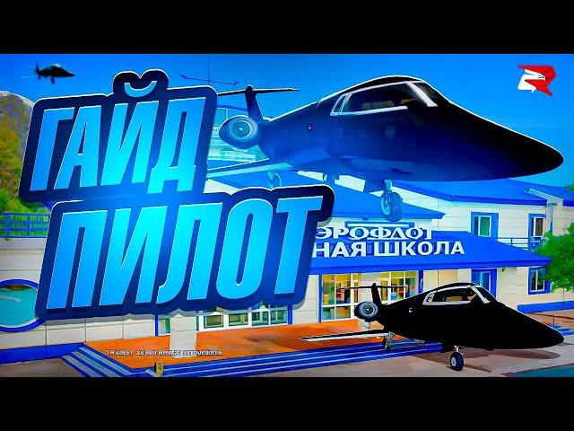 ГАЙД ПО РАБОТЕ ПИЛОТА РОДИНА РП GTA SA