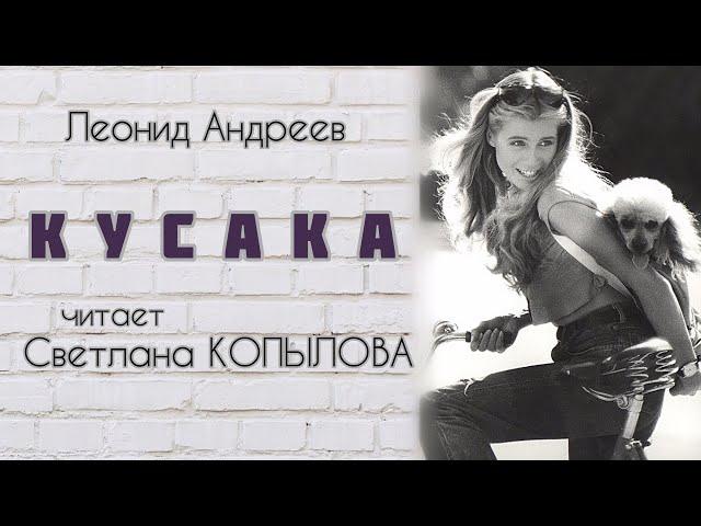 «КУСАКА» Светлана Копылова читает рассказ Леонида Андреева