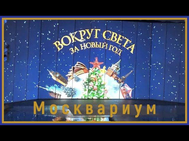 Вокруг света за Новый год // Новогоднее представление в Москвариуме // Москвариум //