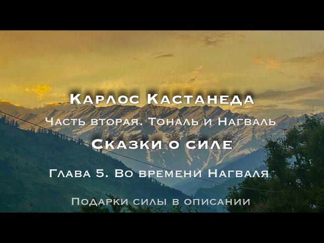 Карлос Кастанеда. Часть 2. Тональ и Нагваль. Глава 5. Во времени Нагваля #кастанеда #силаволи #йога