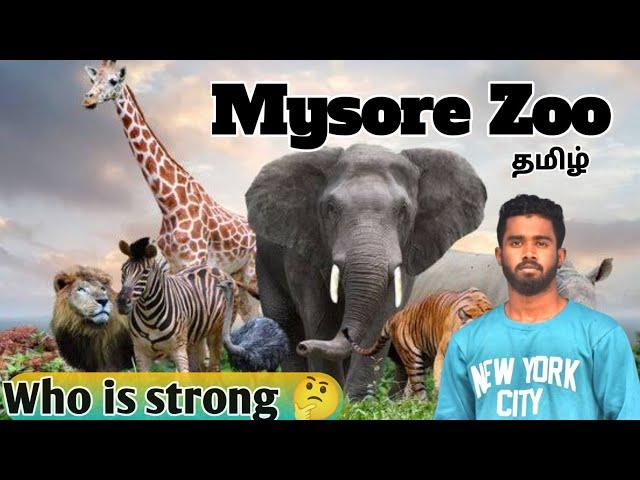 Mysore Zoo tour in tamil/ Karnataka/ tourism/#vlog #animals #zoo #travel