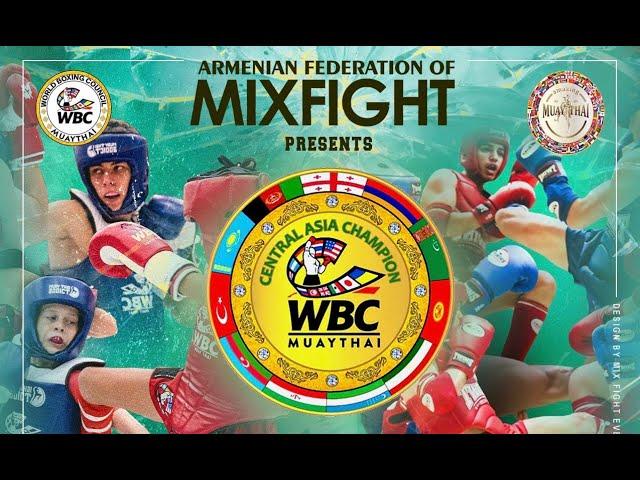 MIX FIGHT EVENTS