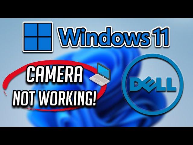 Dell Webcam Not Working in Windows 11 [2024 Tutorial]