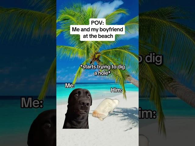 CAT MEMES Me and my boyfriend at the beach #catmemes #relatable #relationship