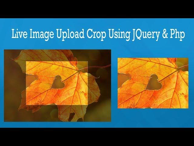 Live Image Upload Crop using jQuery and PHP || symfony tutorial