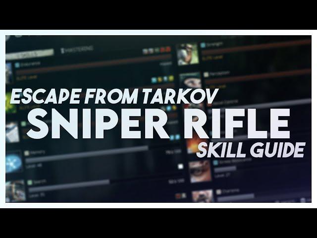 How to level Sniper rifle skill in Escape From Tarkov