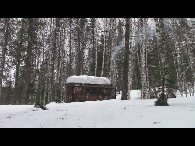 Хроники режима самоизоляции:Самоизоляция в тайге