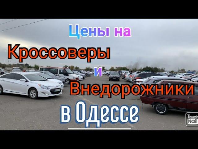 Цены на кроссоверы и внедорожники в Одессе. Авторынок «Куяльник» (Яма)