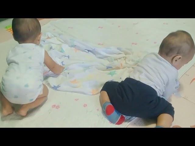 Baby lincoln and Ylren first meeting..