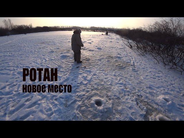 Ловля ротана зимой . РОТАН УТАЩИЛ УДОЧКУ. НОВОЕ МЕСТО .