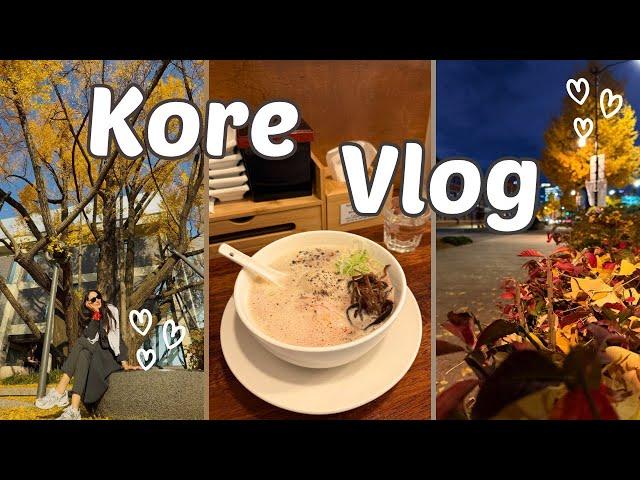 Kore’de Günlük VLOG | Yemek için Sıra Beklemek, Müze Gezisi, Sonbahar Keyfi 