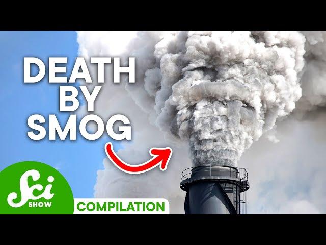 The Deadly Fog That Killed 12,000: What Really Happened?