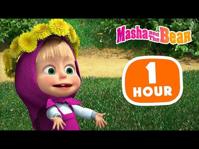 Masha and the Bear 2022 ‍️ Woods & Recreation  1 hour ⏰ Сartoon collection 