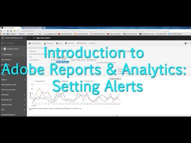 [Tutorial] Adobe Analytics - Setting Alerts