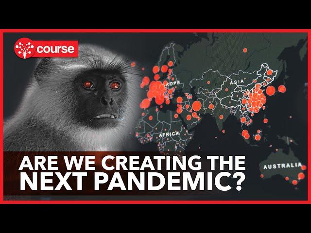 Zoonotic Diseases - How the next Pandemic could happen