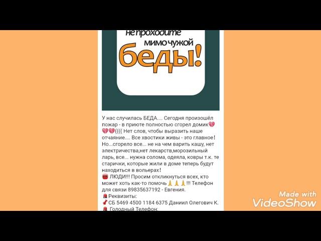 Строим новый Дом! Приют Джульбарс и К