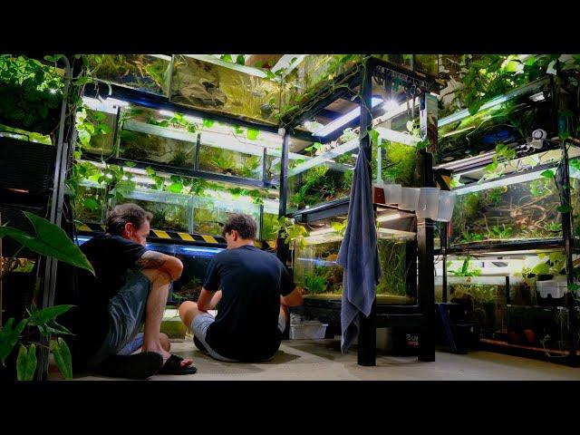 110 Aquariums and Ponds in this Home | In Depth Tour