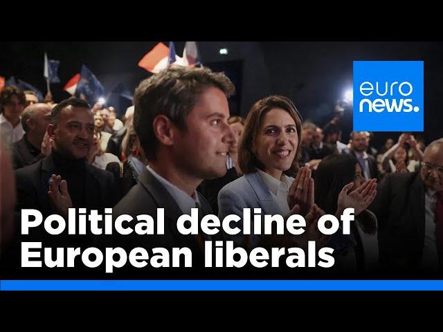 Political decline of liberals: Why could Renew Europe see a major drop in MEPs after EU vote?