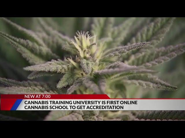 Online cannabis school first to get accredited