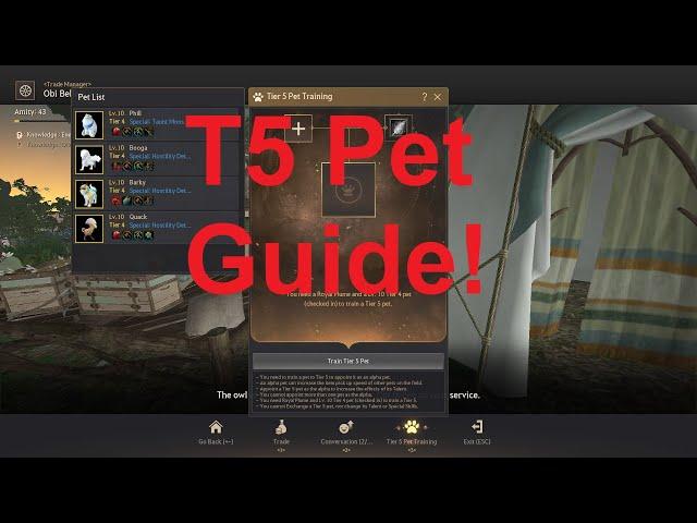 T5 Pet Guide Simplified! | Black Desert Online