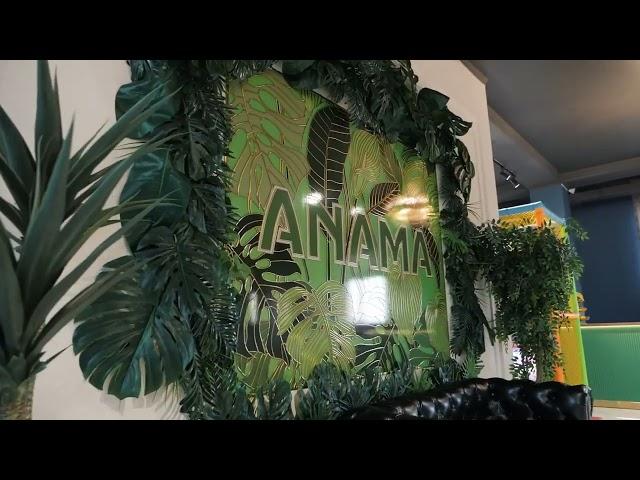 Реализованный дизайн проект кафе "Anama" 2 видео