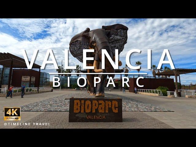 BioParc Valencia Spain 2023 Walking Tour! Visit the zoo park BioParc! #timelinetravel #spain