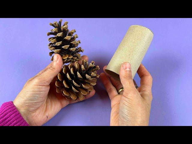 Look What I Made With 2 Pine Cones And 1 Toilet Paper Roll! Recycle